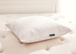 Oreiller en plumes et duvet