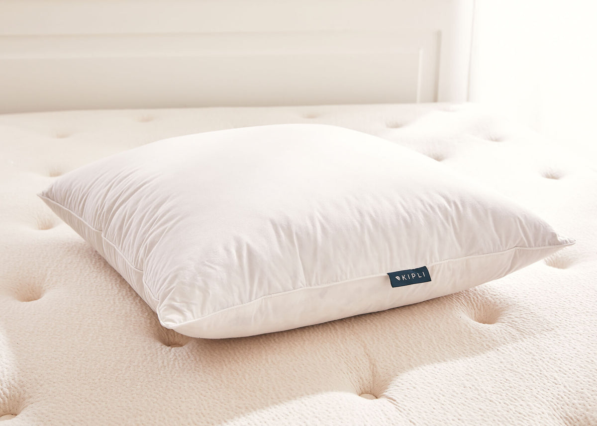Oreiller en plumes et duvet